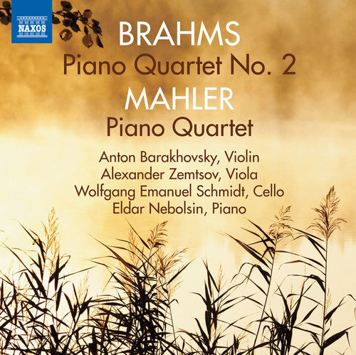 Brahms / Mahler / Barakhovsky - Piano Quartets - Music CD