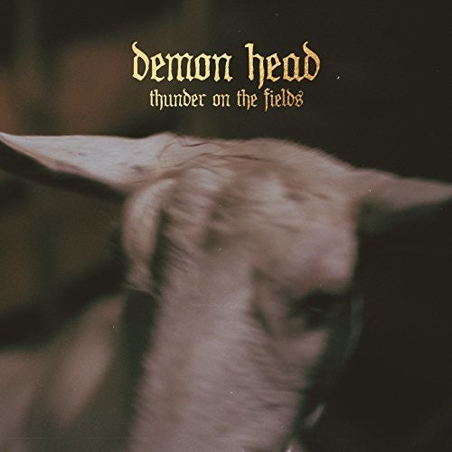Demon Head - Thunder On The Fields Vinyl Record