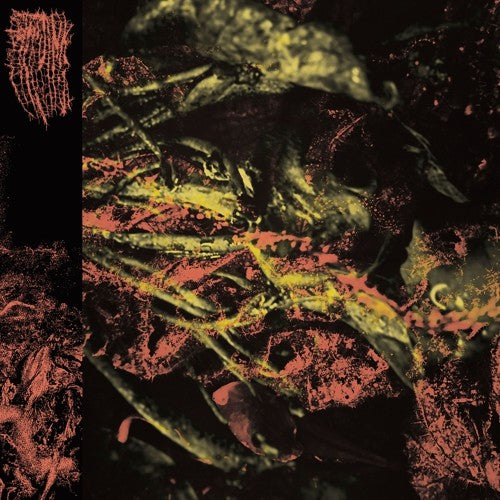 Hissing - Permanent Destitution - Vinyl Record