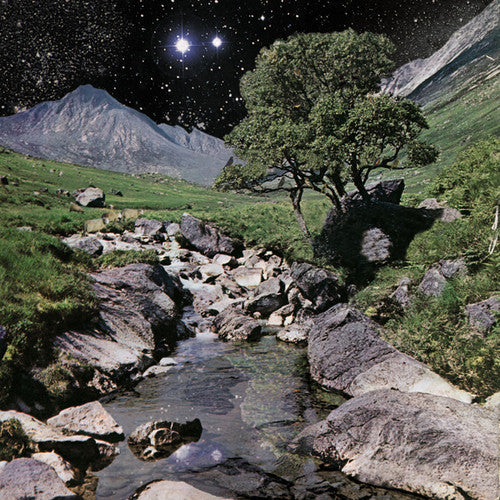 The Beta Band - The Beta Band Vinyl Record