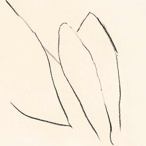 Jon Porras - Voices Of The Air Vinyl Record