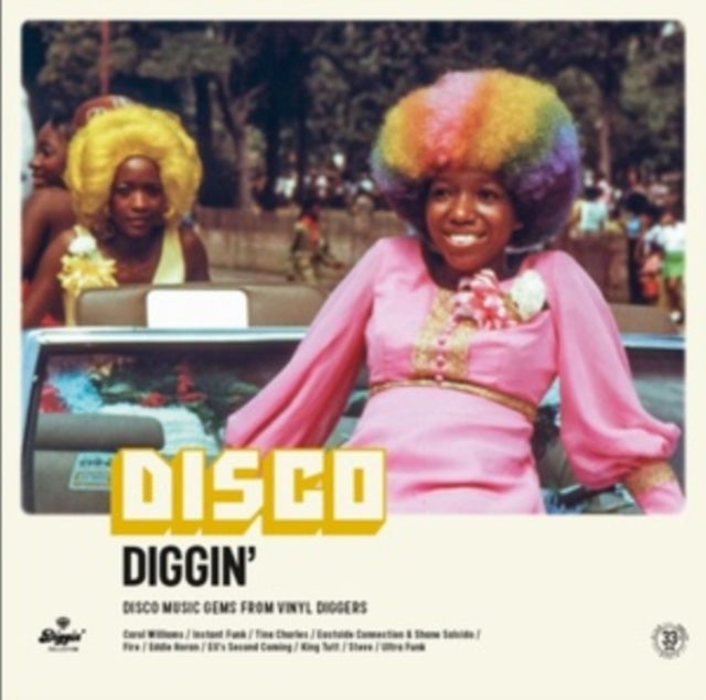 Various Artists - Disco Diggin - LP Vinyl Record