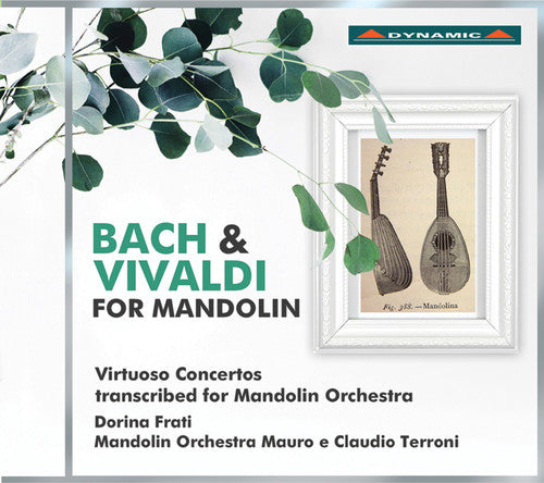 the album cover for Dorina Frati - Bach & Vivaldi for Mandolin