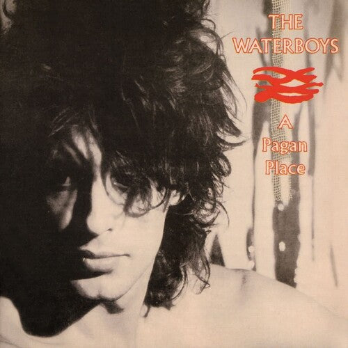 Waterboys - Pagan Place - Music CD