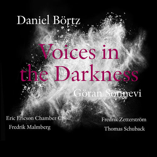 the album cover for Bortz / Sonnevi / Malmberg / Zetterstrom - Daniel Bortz: Voices in the Darkness