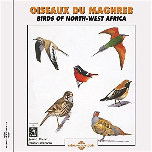 Roche,jean Claude / Chevereau,jerome - Birds Of Northwest Africa - Music CD