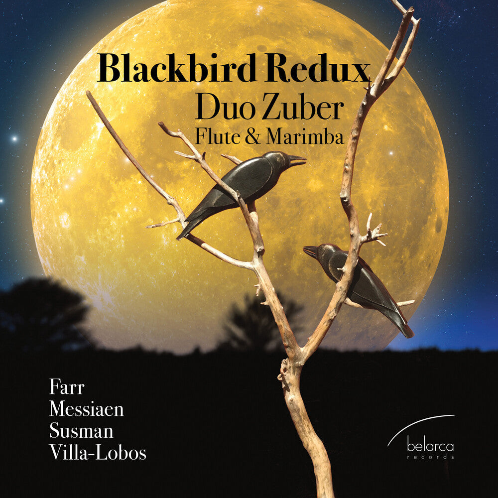 the album cover for Duo Zuber - Blackbird Redux