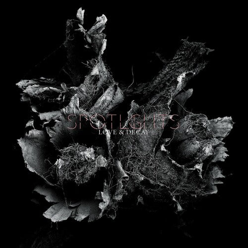 Spotlights - Love & Decay - Vinyl Record