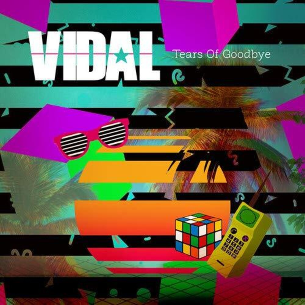 the album cover for Vidal - Tears Of Goodbye