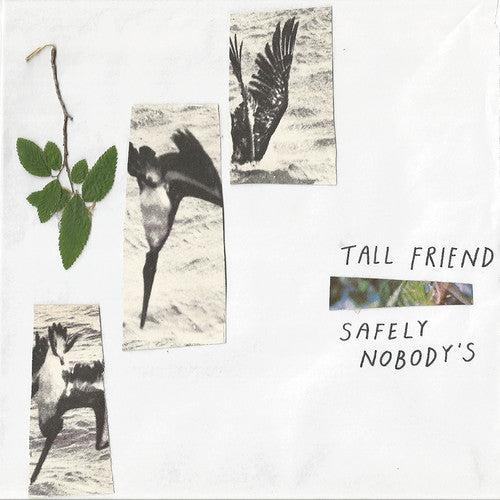 Tall Friend - Safely Nobody's - Vinyl Record