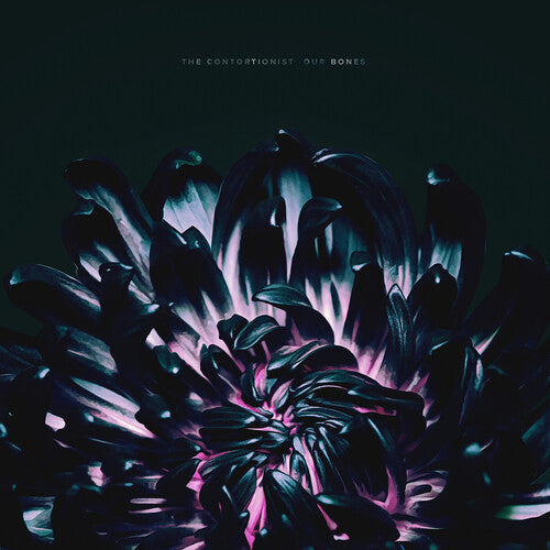 The Contortionist - Our Bones Vinyl Record
