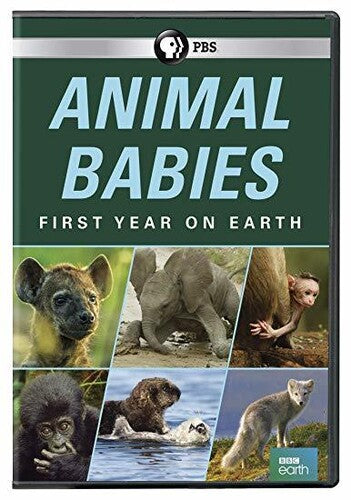 Animal Babies: First Year On Earth - Animal Babies: First Year On Earth - DVD
