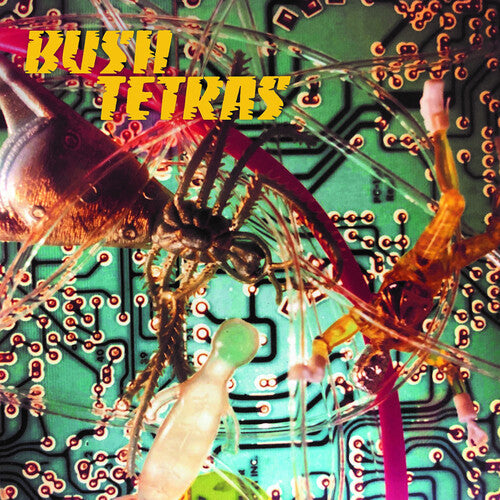 Bush Tertas - There Is A Hum / Seven Years Vinyl Record