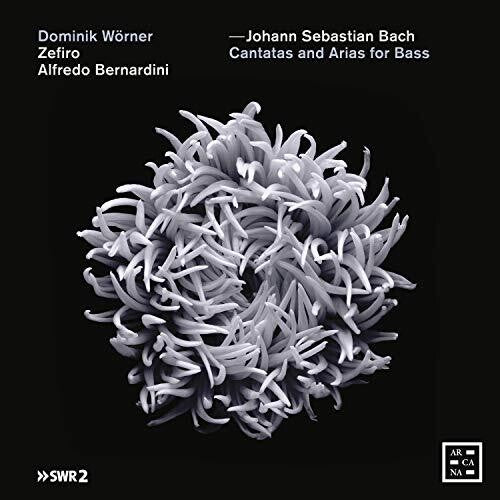 Bach,j.s. / Bernardini / Worner - Cantatas & Arias For Bass - Music CD
