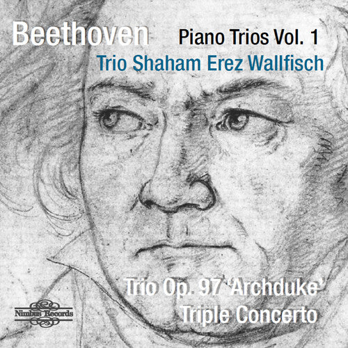 Beethoven / Trio Shahm Erez Wallfisch - Piano Trio 1 - Music CD