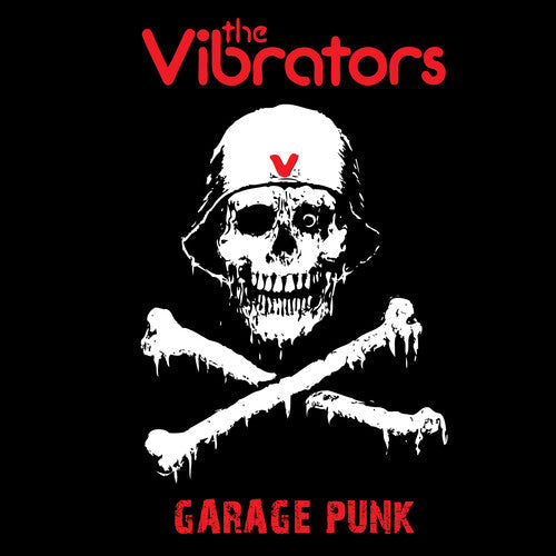 The Vibrators - Garage Punk Vinyl Record
