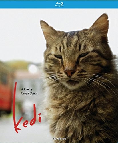 Kedi - Kedi - Blu-ray