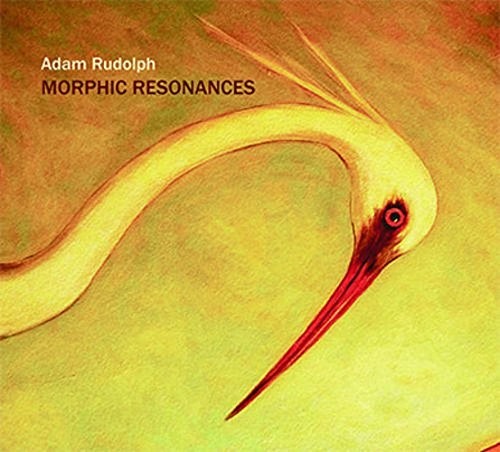 the album cover for Adam Rudolph - Morphic Resonances