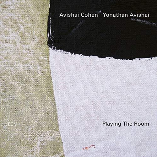 Playing The Room Vinyl Record