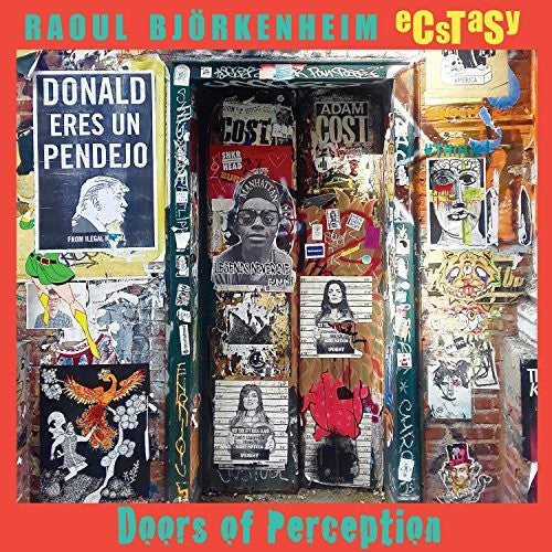 Bjorkenheim,raoul / Ecstasy - Doors Of Perception - Music CD