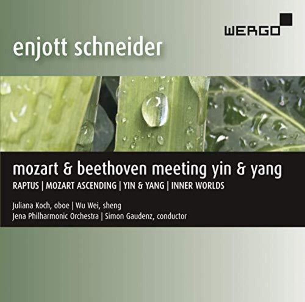 the album cover for Schneider / Koch / Gaudenz - Meeting Yin & Yang