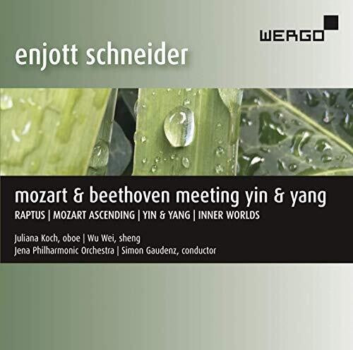Schneider / Koch / Gaudenz - Meeting Yin & Yang - Music CD