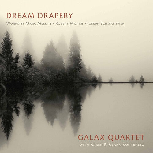 Mellits / Galax Quartet / Clark - Dream Drapery - Music CD