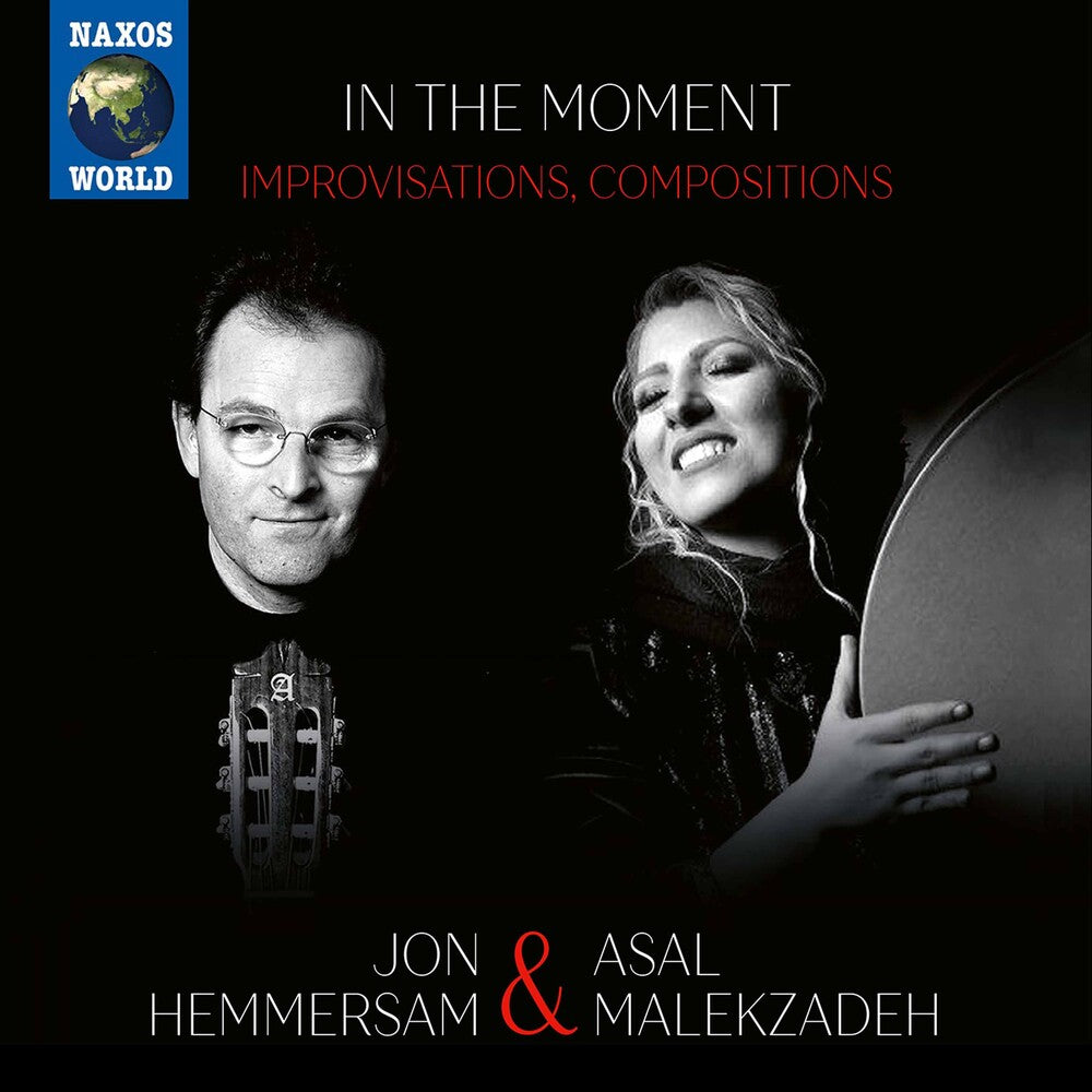 the album cover for Hemmersam / Malekzadeh / Praestholm - In the Moment