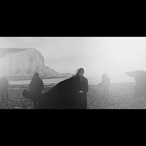 Dog in the Snow - Vanishing Lands Vinyl Record