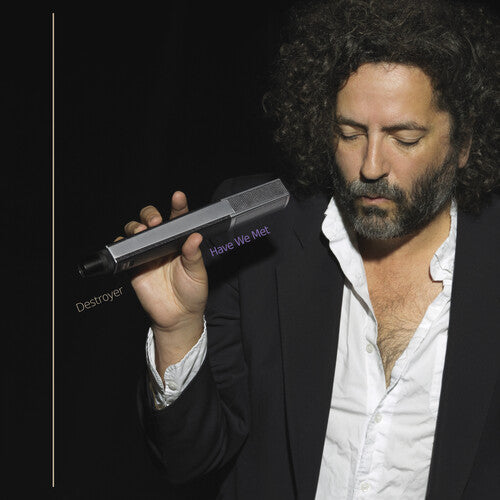 Destroyer - Have We Met Vinyl Record