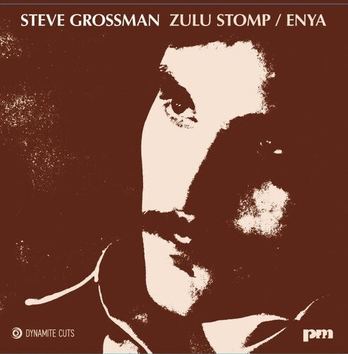 Grossman,steve - Zulu Stomp / Enya - Vinyl Record