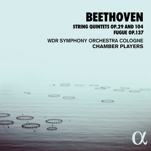 Beethoven - String Quintets 29 & 104 - Music CD