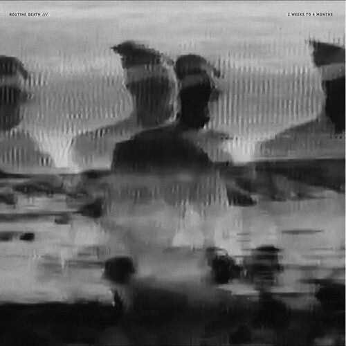 Routine Death - 2 Weeks To 4 Vinyl Record