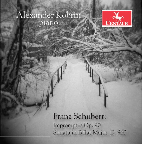 Schubert / Kobrin - Impromptus 90 - Music CD