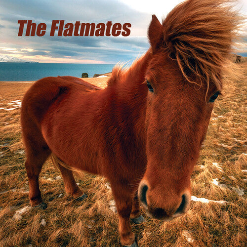 Flatmates - Flatmates Vinyl Record