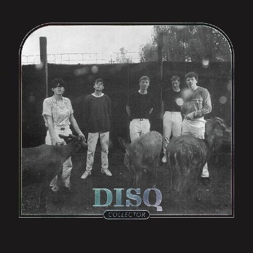 Disq - Collector - Music CD