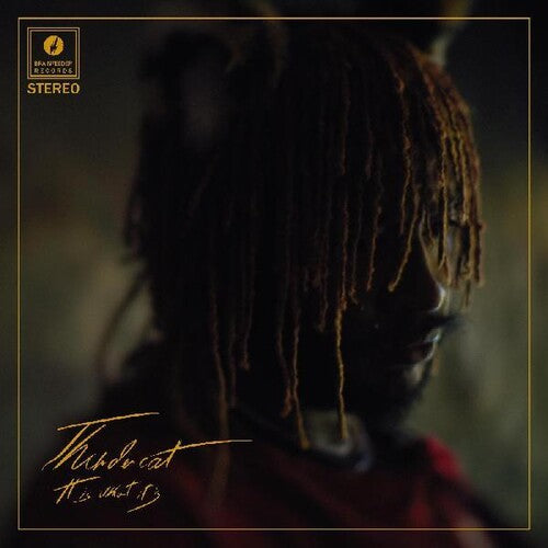 Thundercat - It Is What It Is Vinyl Record