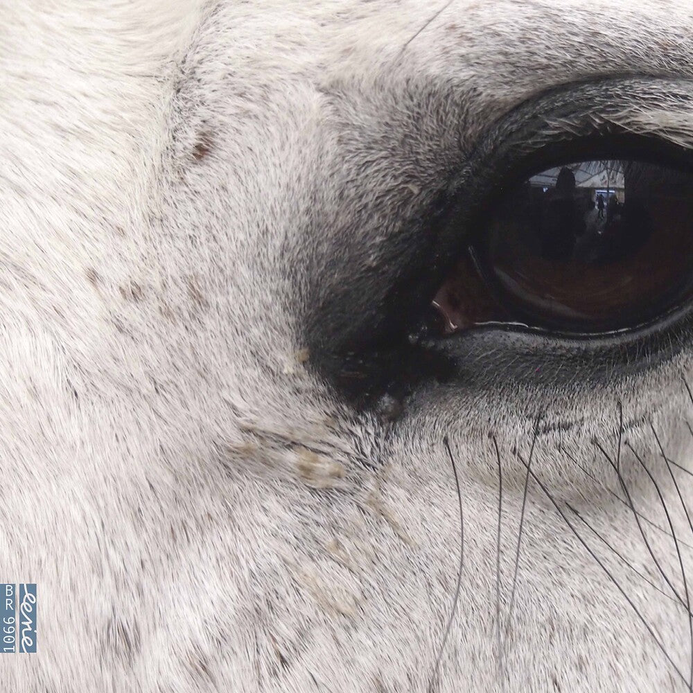 the album cover for Dlugoszewski - Openings of the Eye