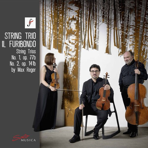 Reger / Furibondo - String Trios 1 - Music CD
