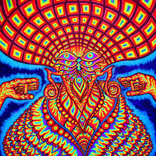 The Dream Syndicate - The Universe Inside Vinyl Record