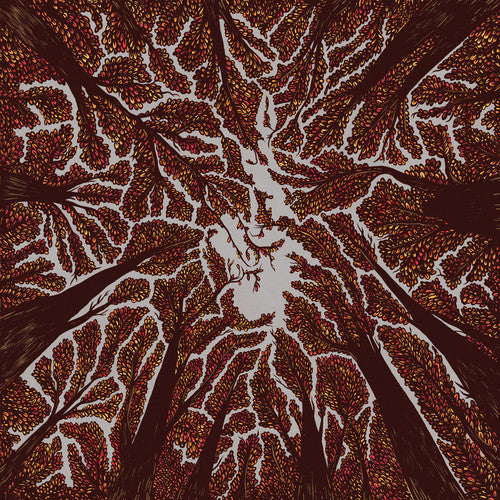 Crown Shyness Music CD