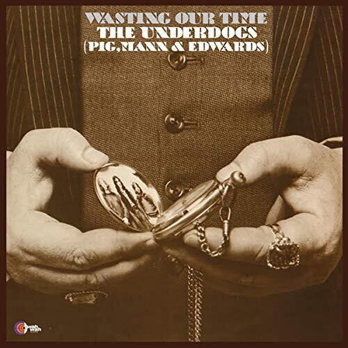 The Underdogs - Wasting Our Time Vinyl Record