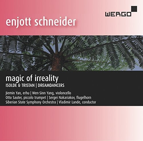 the album cover for Schneider / Yan - Magic of Irreality