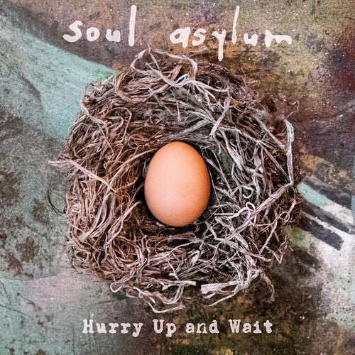 Soul Asylum - Hurry Up & Wait Vinyl Record