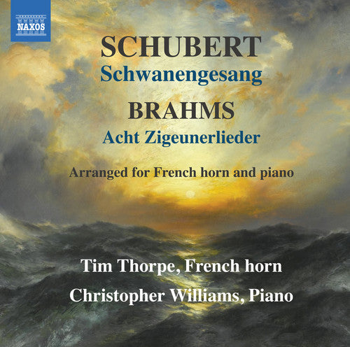 the album cover for Brahms / Shubert - Schwanengesang