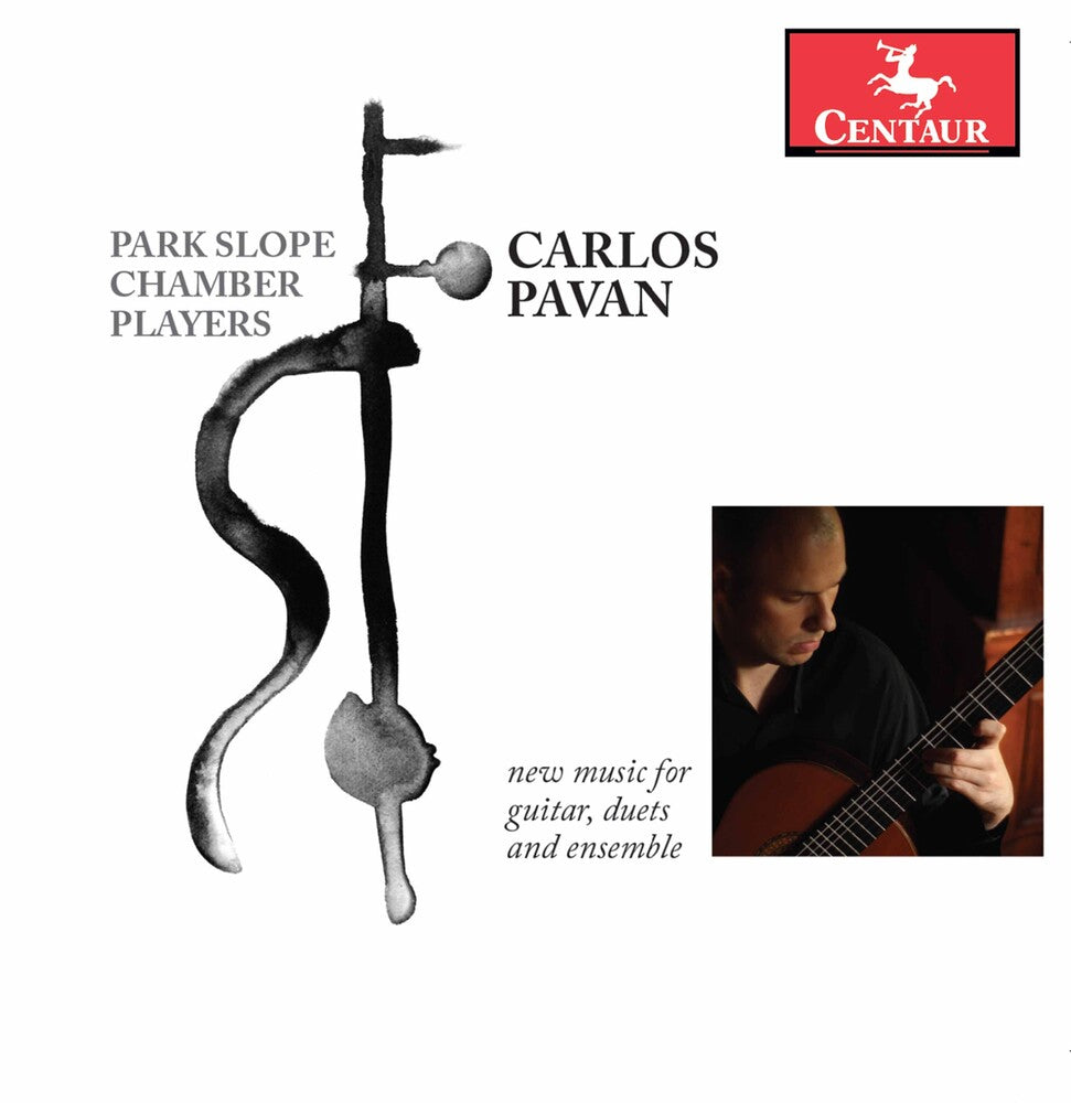 the album cover for Pavan / Park Slope Chamber Players - New Music