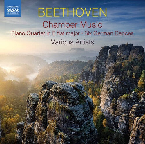 Beethoven - Chamber Music - Music CD