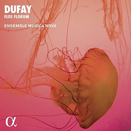 Dufay / Ensemble Musica Nova - Flos Florum - Music CD