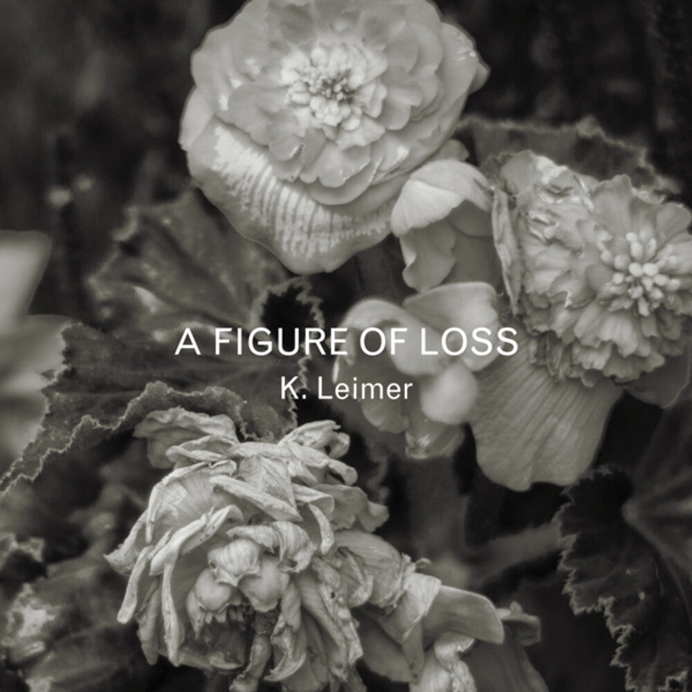 the album cover for K Leimer - A Figure Of Loss