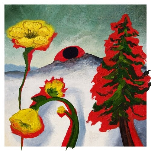 Woods - Strange To Explain - Vinyl Record